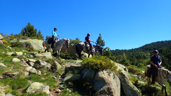 Ausritte in den Pyrenäen und Reiten lernen im Gelände