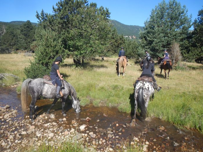 Ausritte in den Pyrenäen und Reiten lernen im Gelände