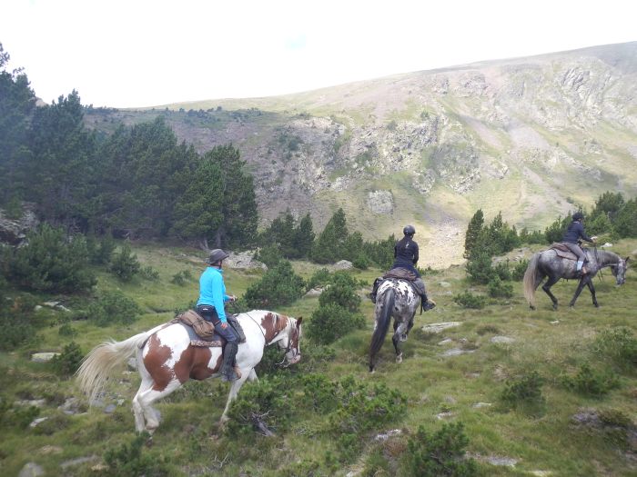 Ausritte in den Pyrenäen und Reiten lernen im Gelände