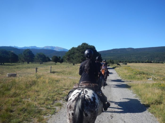 Ausritte in den Pyrenäen und Reiten lernen im Gelände