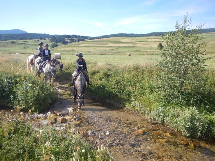 Ausritte in den Pyrenäen und Reiten lernen im Gelände