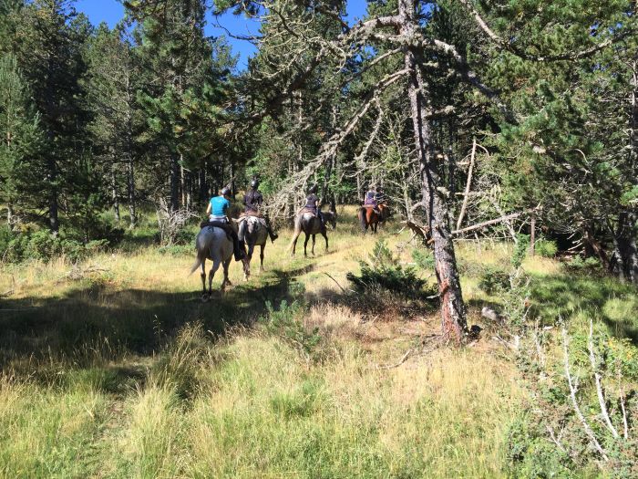 Ausritte in den Pyrenäen und Reiten lernen im Gelände