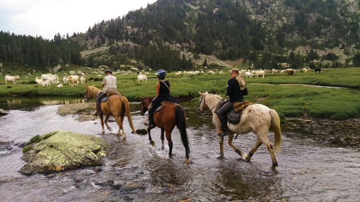 Ausritte in den Pyrenäen und Reiten lernen im Gelände