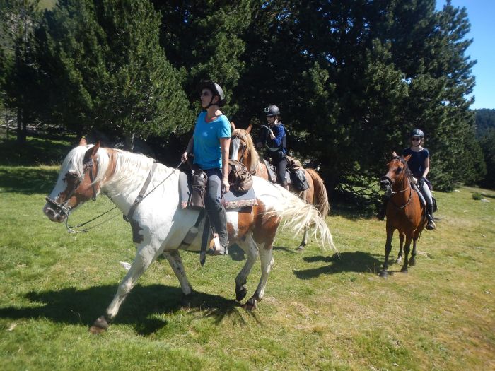 Ausritte in den Pyrenäen und Reiten lernen im Gelände