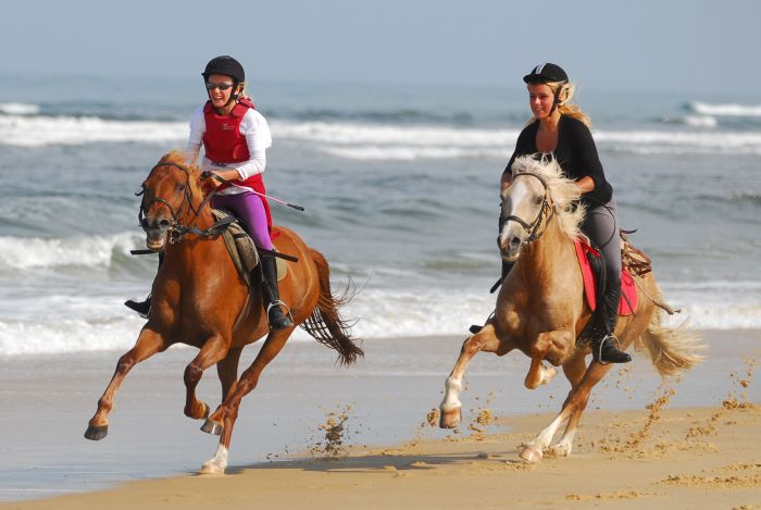 Périgordschlösser und Atlantikstrand