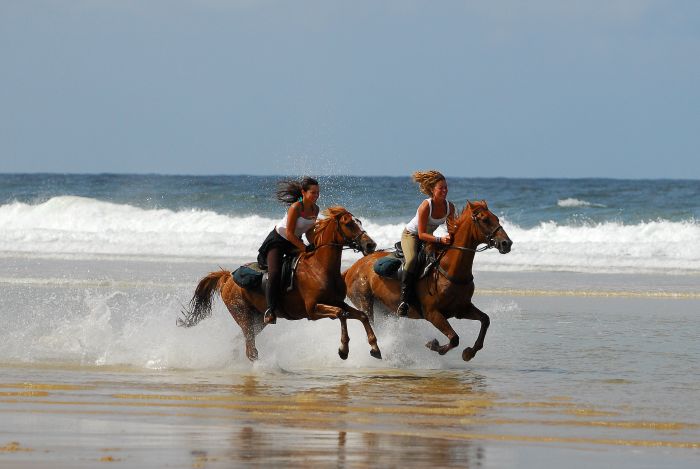 Périgordschlösser und Atlantikstrand