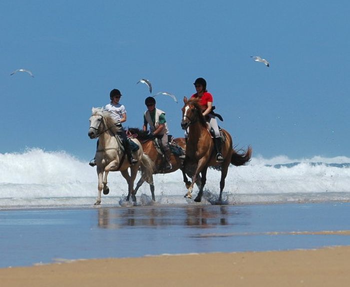 Périgordschlösser und Atlantikstrand