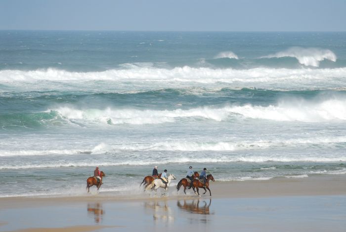 Périgordschlösser und Atlantikstrand