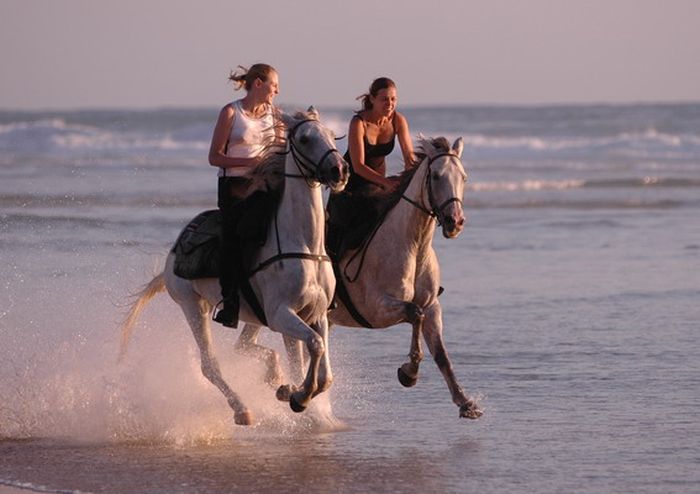 Périgordschlösser und Atlantikstrand