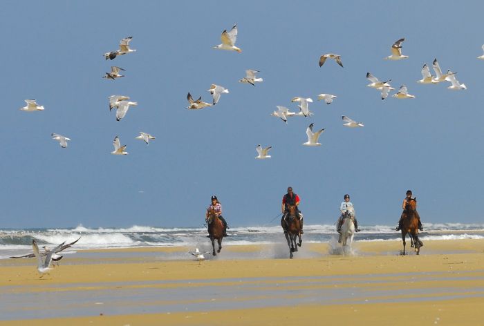 Périgordschlösser und Atlantikstrand