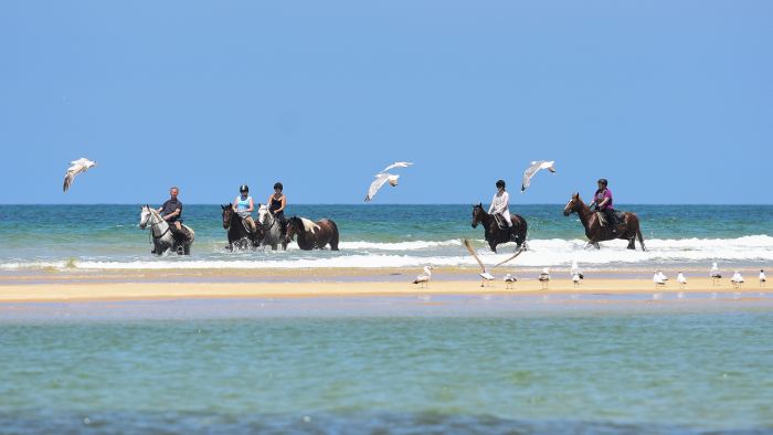 Pyrenäen- und Strand-Trail