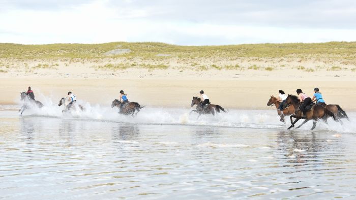 Pyrenäen- und Strand-Trail