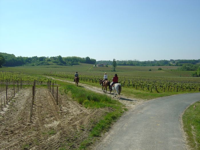 Geniessertour Weinschlösser des Bordeaux