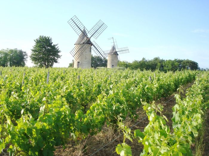 Geniessertour Weinschlösser des Bordeaux