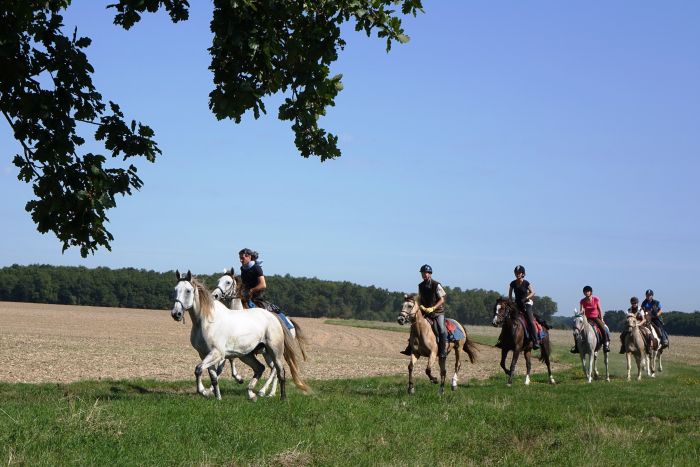 Schlösser der Loire - Wanderritt für Geniesser