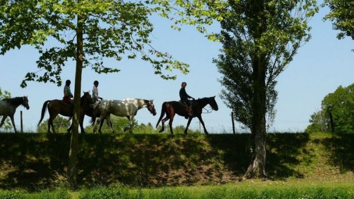 Schlösser der Loire - Wanderritt für Geniesser