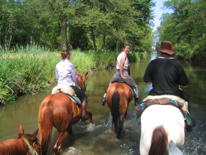 Schlösser der Loire - Wanderritt für Geniesser