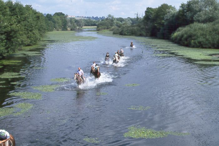 Schlösser der Loire - Wanderritt für Geniesser