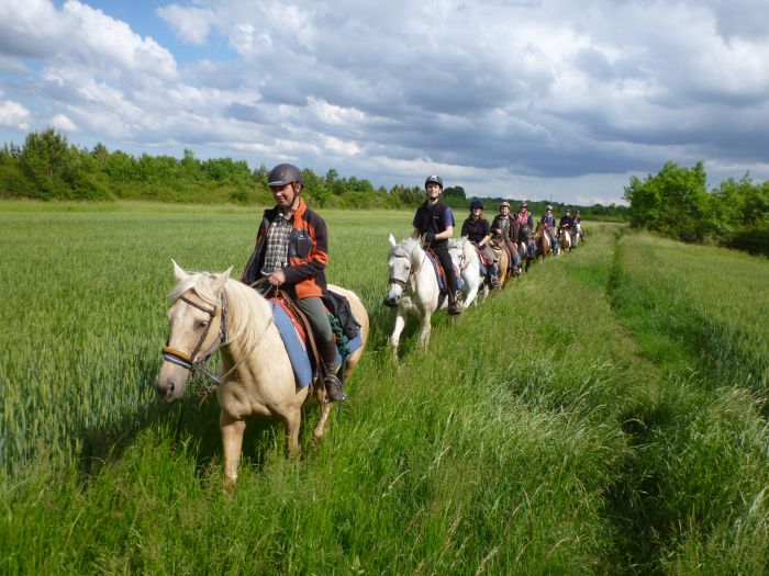 Schlösser der Loire - Wanderritt für Geniesser