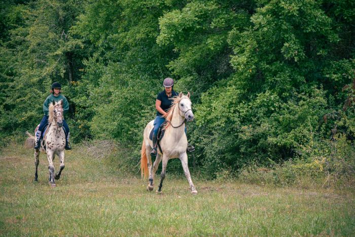 Reiten & Geniessen im Lot