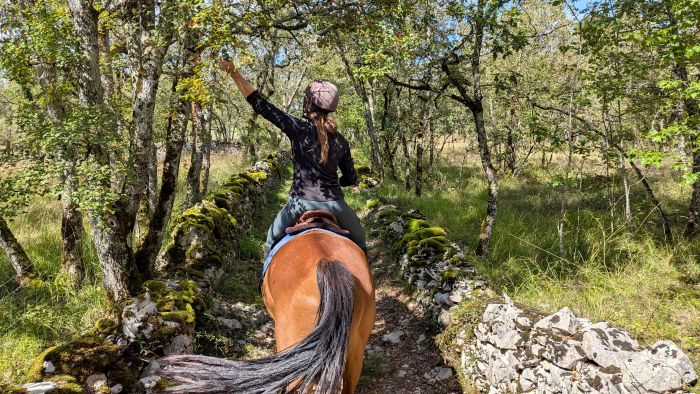 Reiten & Geniessen im Lot