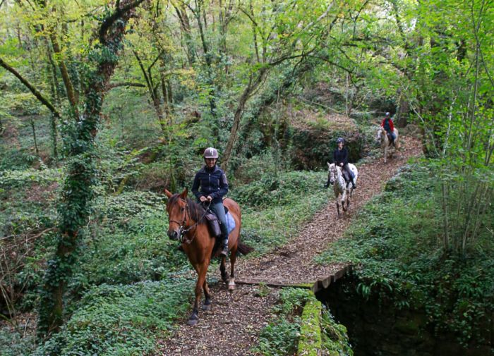 Reiten & Geniessen im Lot