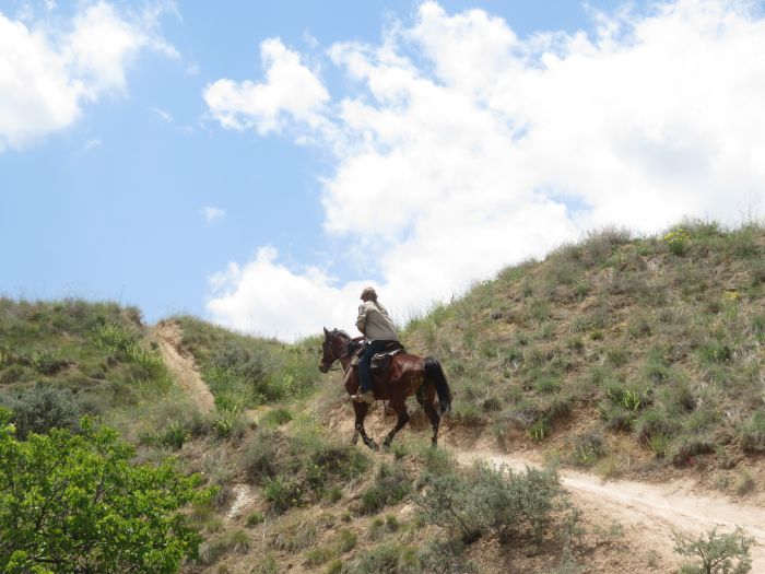 Ihlaria Trail und Black Mountains