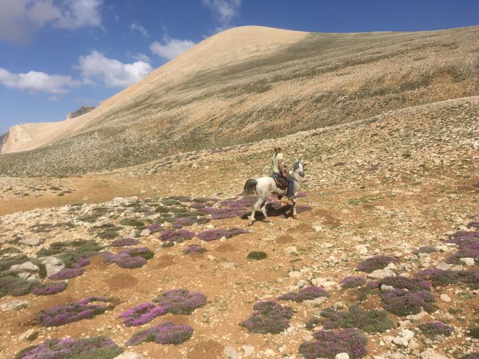 Ihlaria Trail und Black Mountains