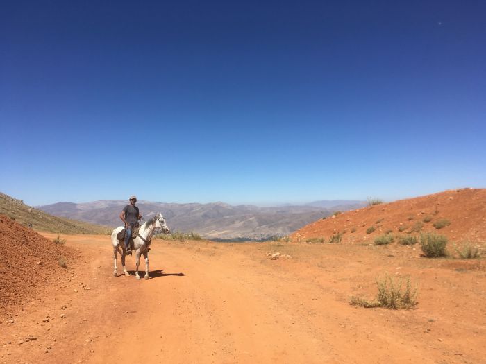 Ihlaria Trail und Black Mountains