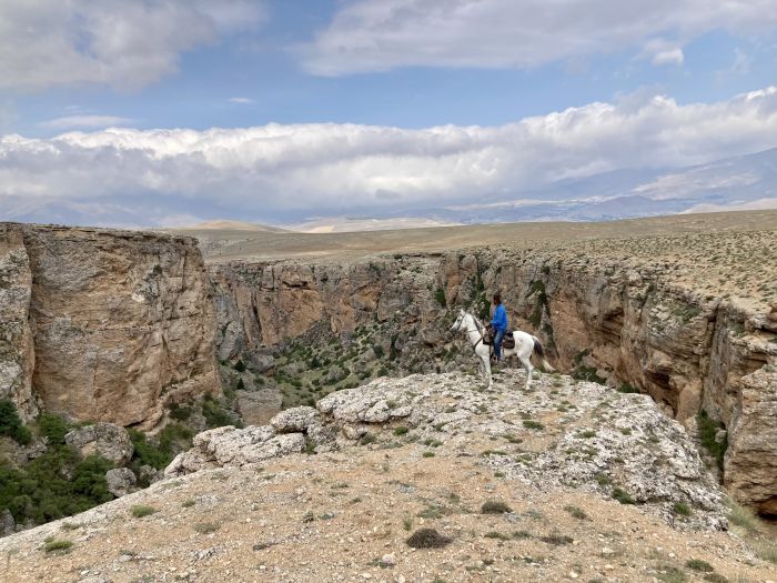 Ihlaria Trail und Black Mountains