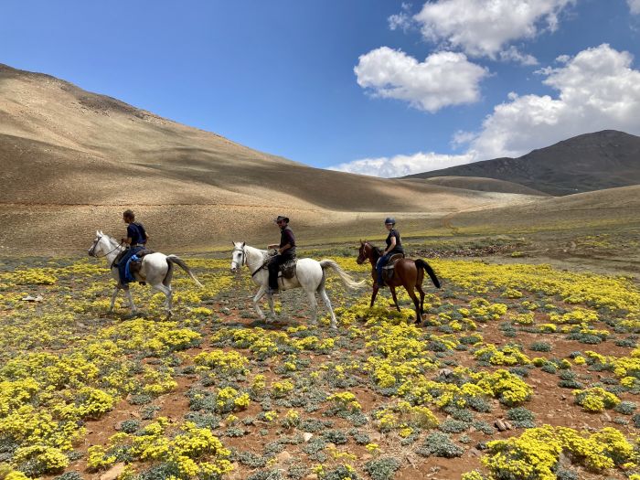 Ihlaria Trail und Black Mountains