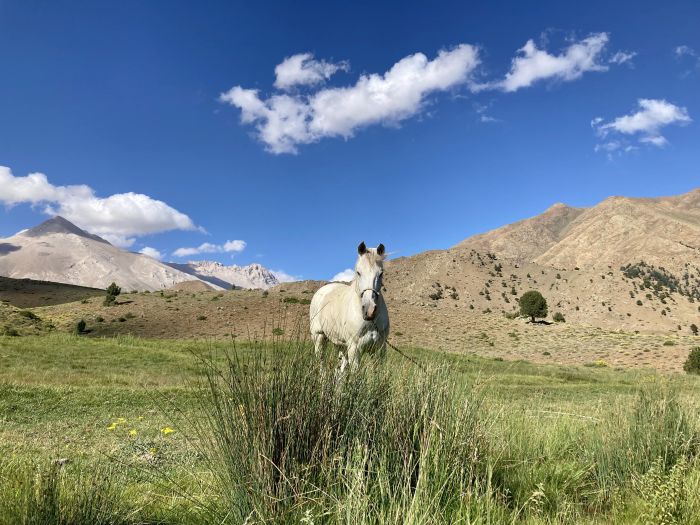Ihlaria Trail und Black Mountains