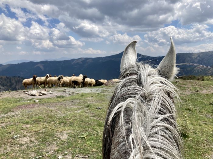 Ihlaria Trail und Black Mountains