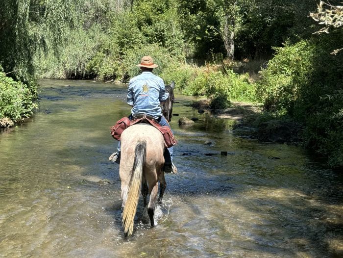 Ihlaria Trail und Black Mountains