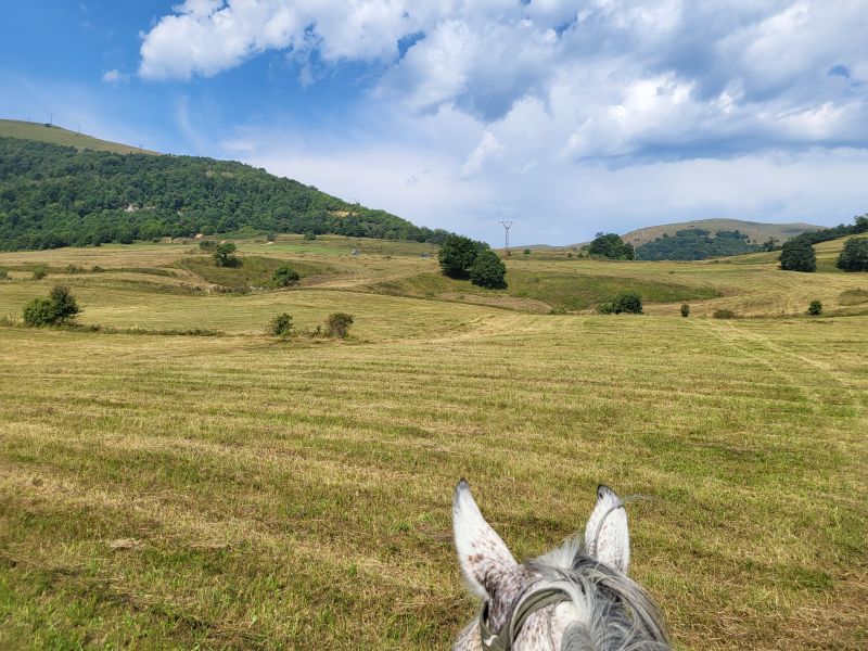 Reiten in Armenien