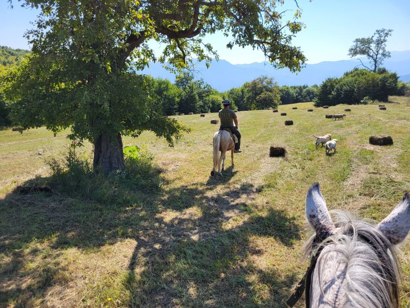 Reiten in Armenien