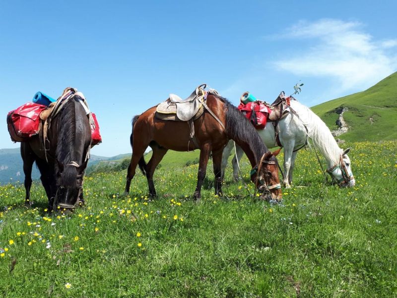 Reiten in Armenien