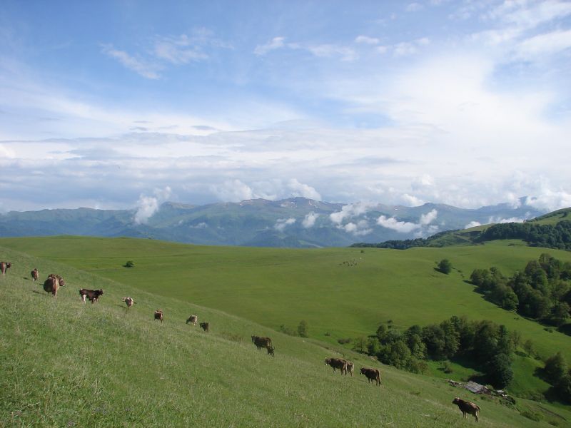 Reiten in Armenien