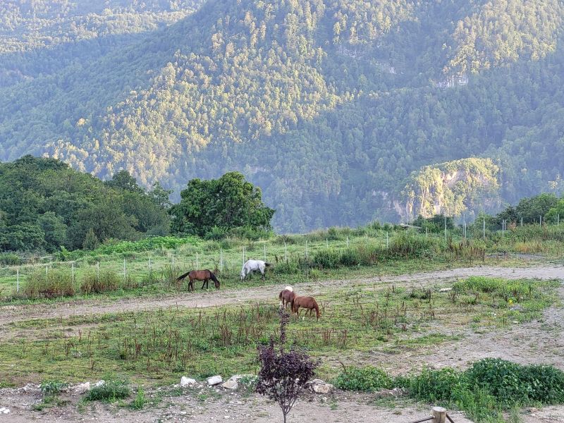 Reiten in Armenien
