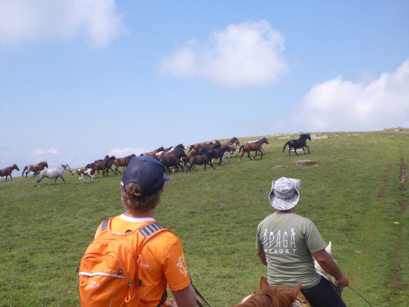 Reiten in Armenien