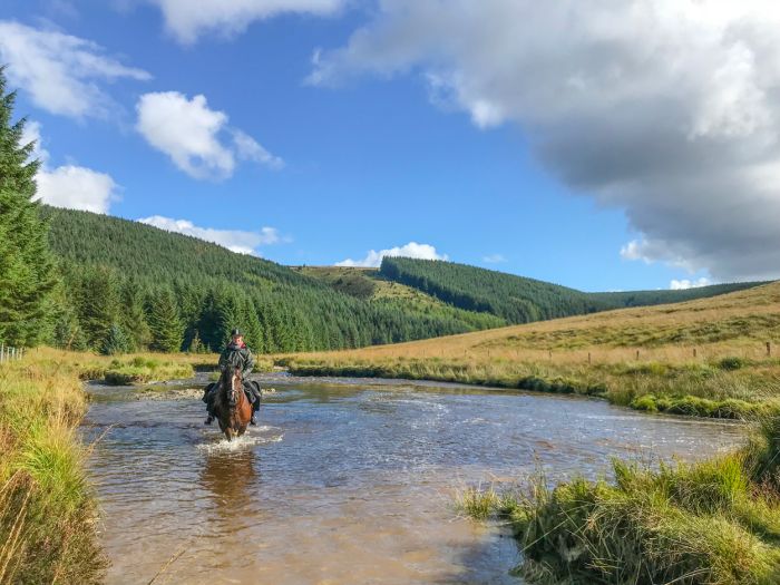 Cambrian Mountain Trail