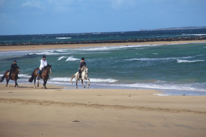 Reiterparadies Atlantikküste