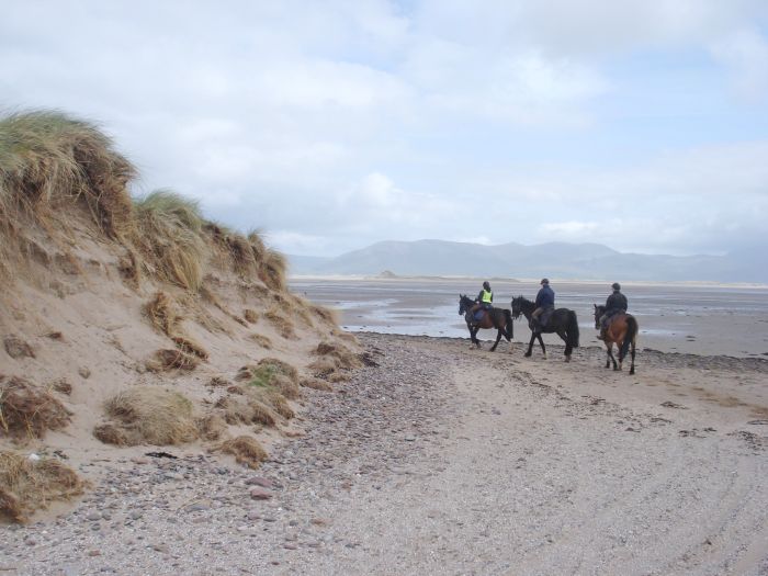 Killarney Reeks Trail