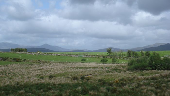 Killarney Reeks Trail