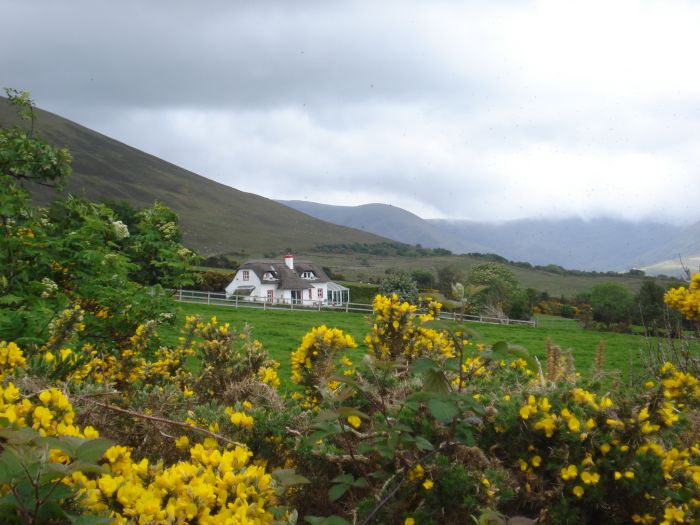 Killarney Reeks Trail