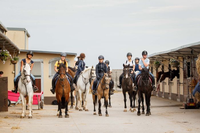 Englisch Lernen und Reiten für Jugendliche