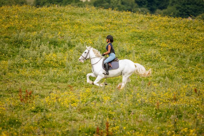 Englisch Lernen und Reiten für Jugendliche