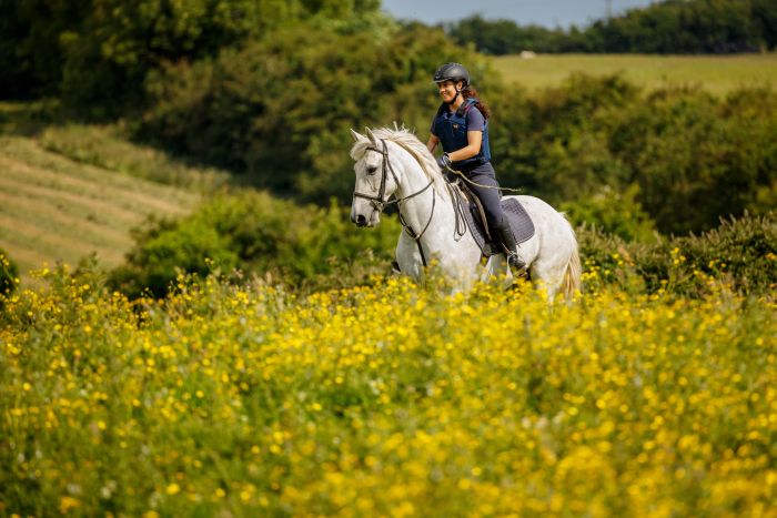 Englisch Lernen und Reiten für Jugendliche