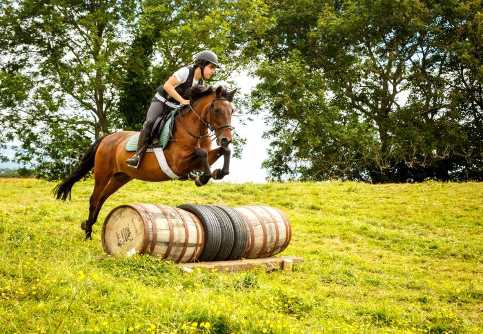 Englisch Lernen und Reiten für Jugendliche