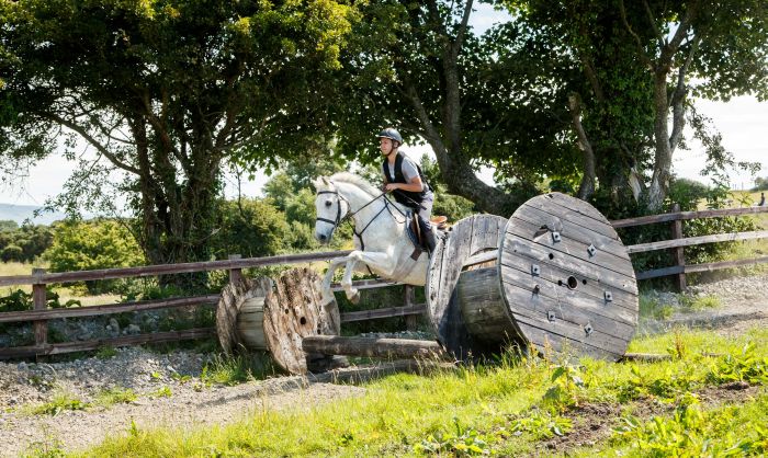 Englisch Lernen und Reiten für Jugendliche